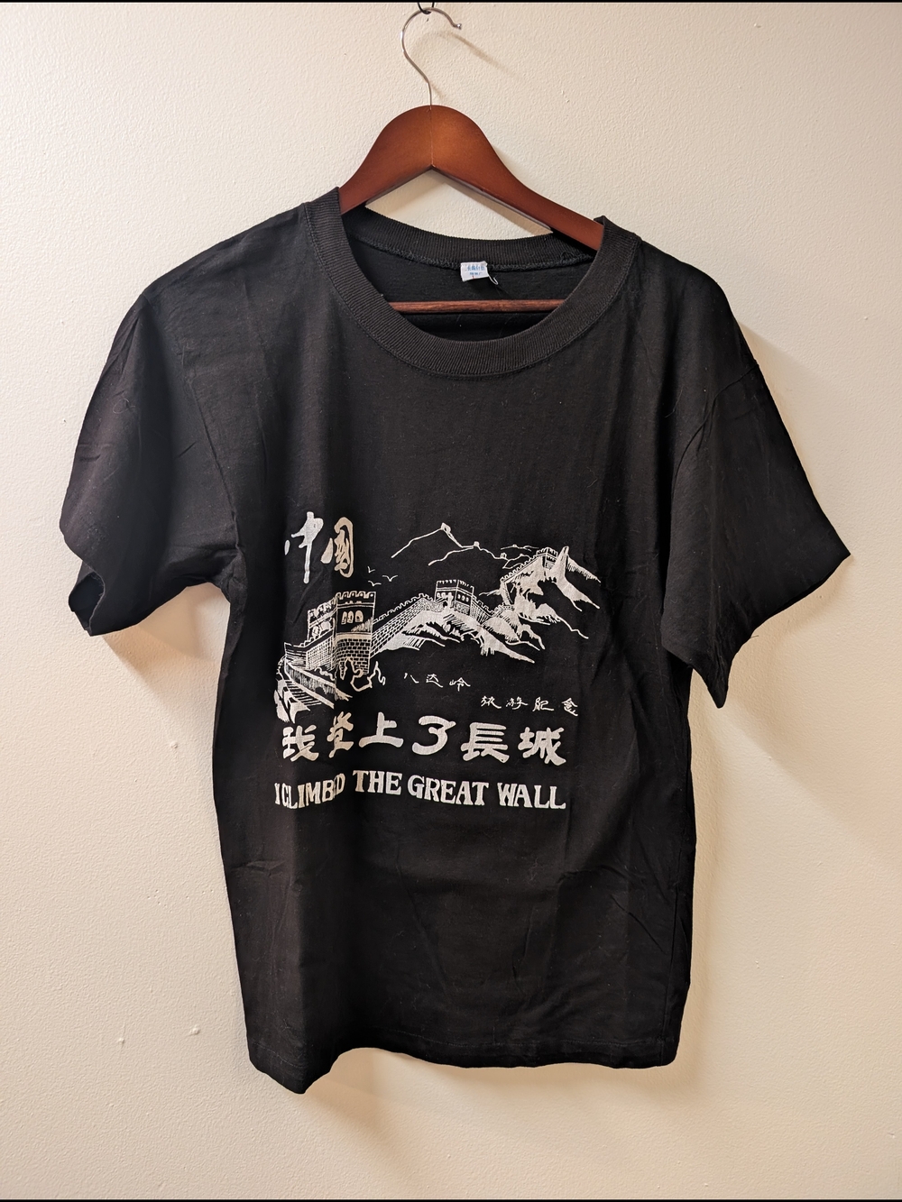 I Climbed The Great Wall Single Stitch Graphic Tee - Black